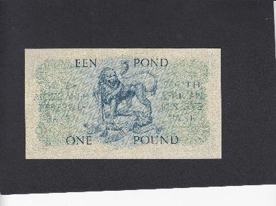 Beschrijving achterzijde: LION